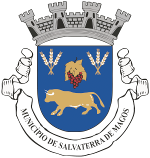 CM Salvaterra de Magos